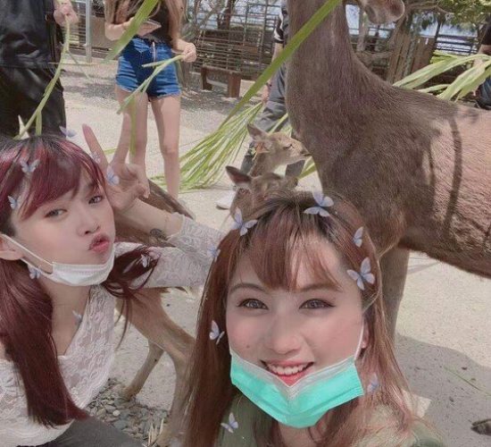 LINE_ALBUM_2020年4月19日星翔員工旅遊花東5日遊_211114_17