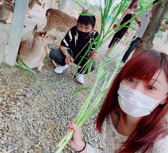 LINE_ALBUM_2020年4月19日星翔員工旅遊花東5日遊_211114_48
